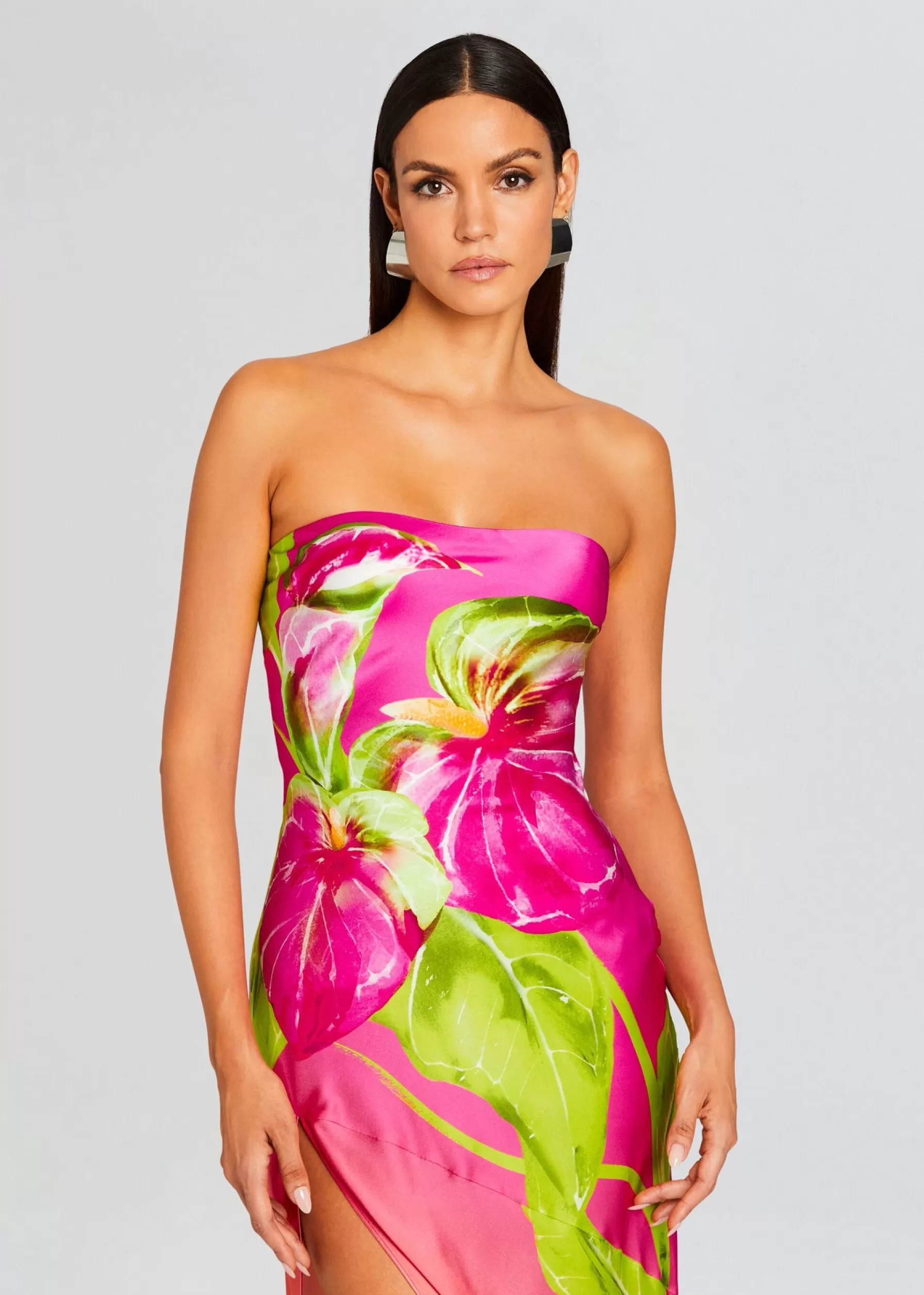 Retrofete Aiyanna Silk Dress Ombre Anthurium Shop