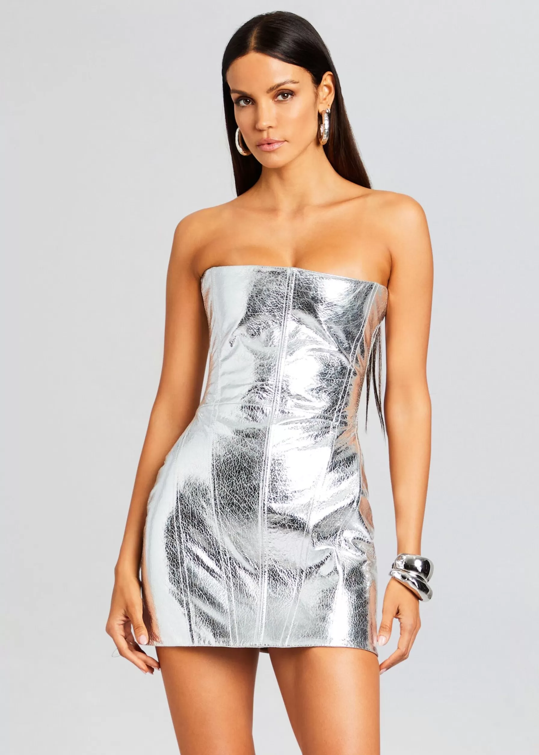 Retrofete Casmir Leather Dress Silver New