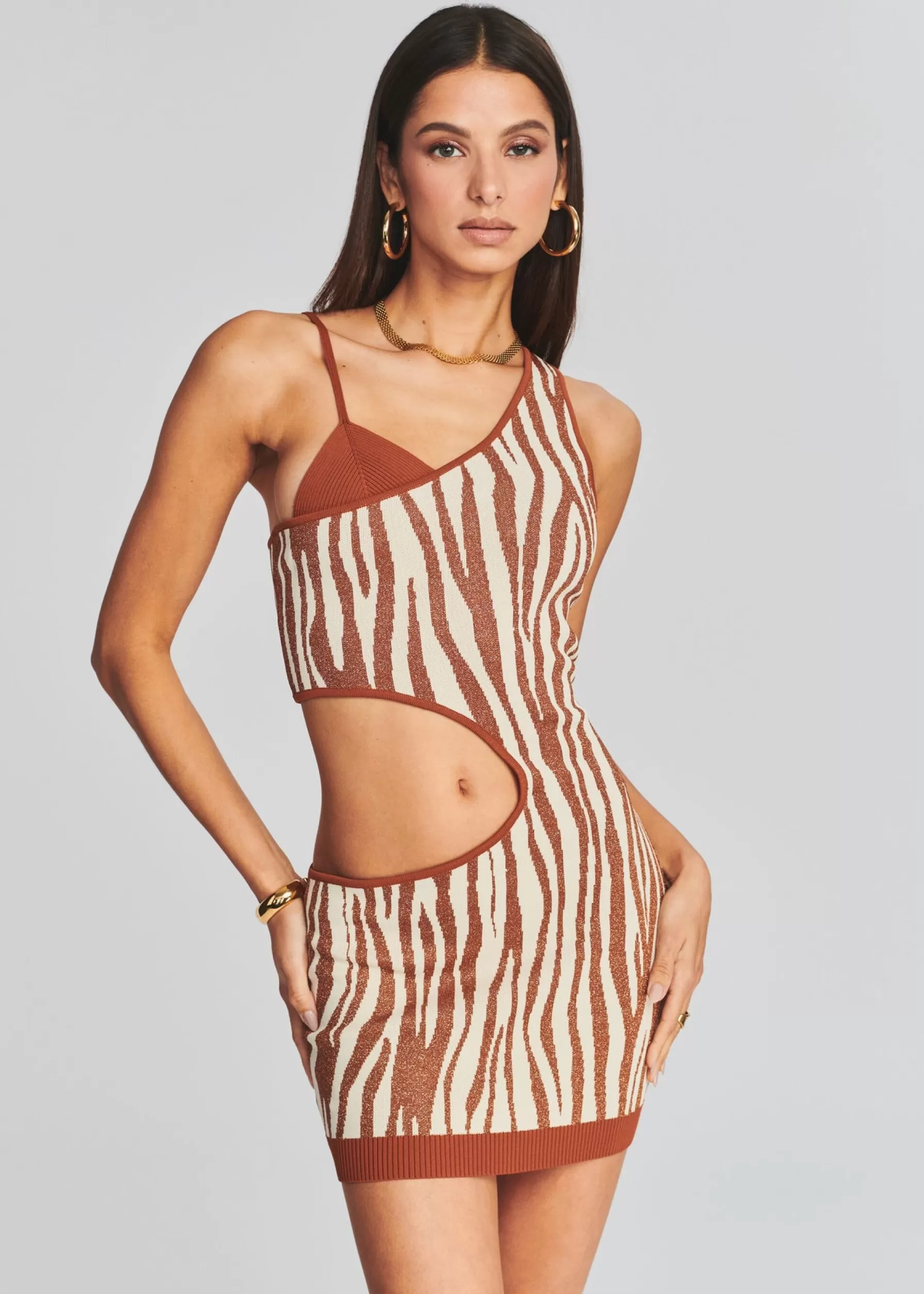 Retrofete Dimi Dress Brown Zebra Best